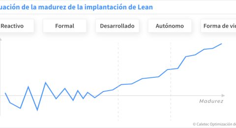 Nivel de madurez Lean en las empresas