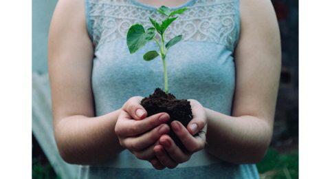 Planta en las manos: el poder de la mejora, poco a poco - Kaizen